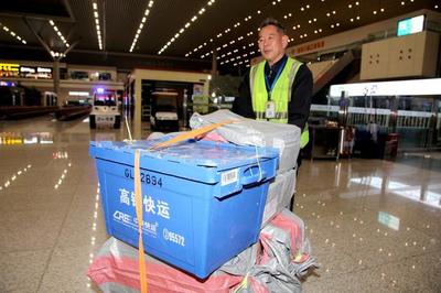 “互联网+高铁快运” 助力双11电商“闪电”发货