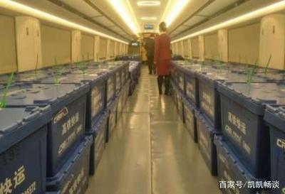 双十一到了不用担心快速到家慢,复兴号帮你送快递,网友:神速