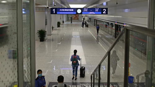 坐火车从大兴机场回北京 一天只有5班的大兴机场城际铁路体验